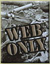 web_only 2